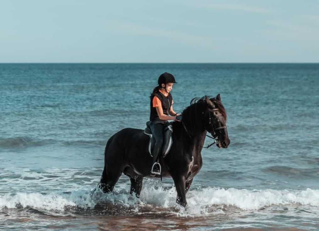 CABALLO